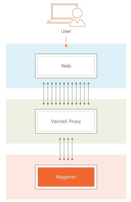 Magento 2 Varnish Cache Topology